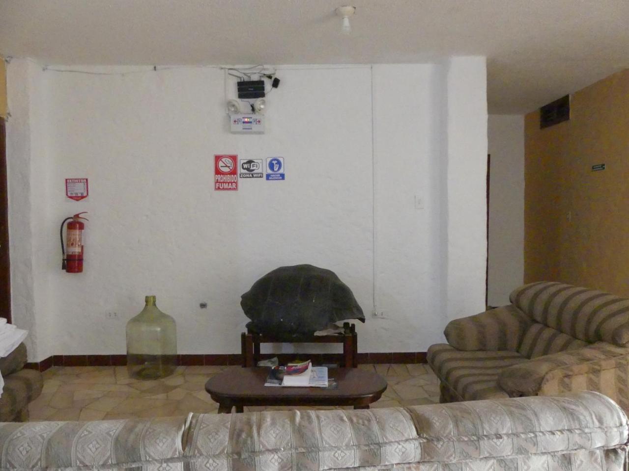 Hostal Estrella De Mar Пуерто Айора Екстериор снимка